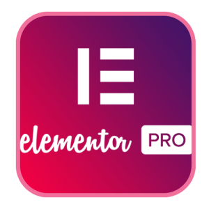 elementor pro price in bangladesh